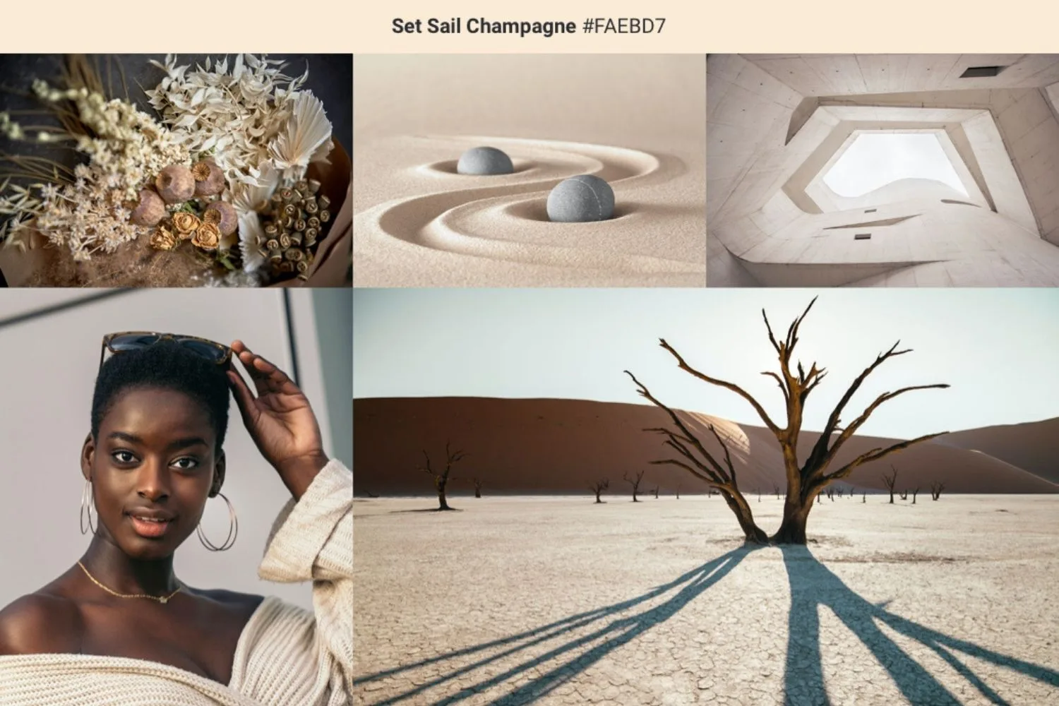 mood board of neutral colurs