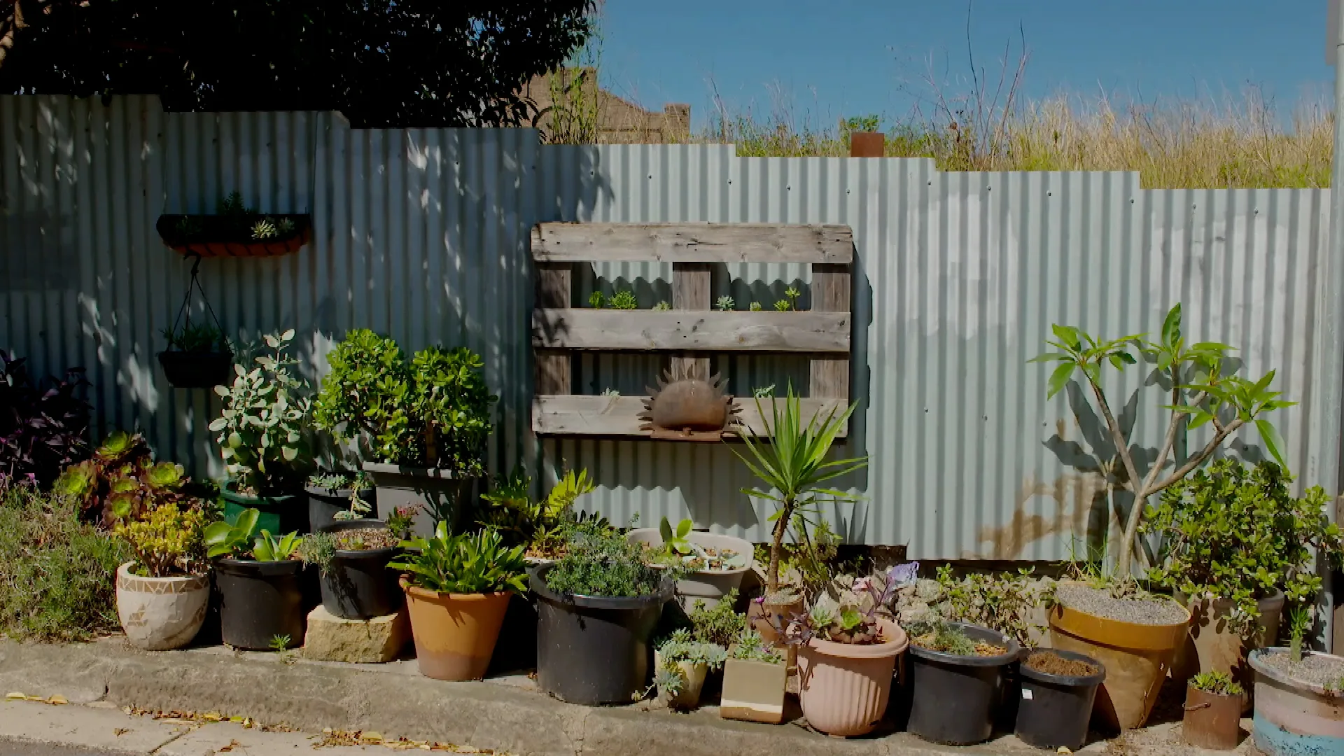 Johanna and Charlie visit the Oye Mi Canto House