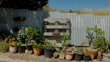 Johanna and Charlie visit the Oye Mi Canto House