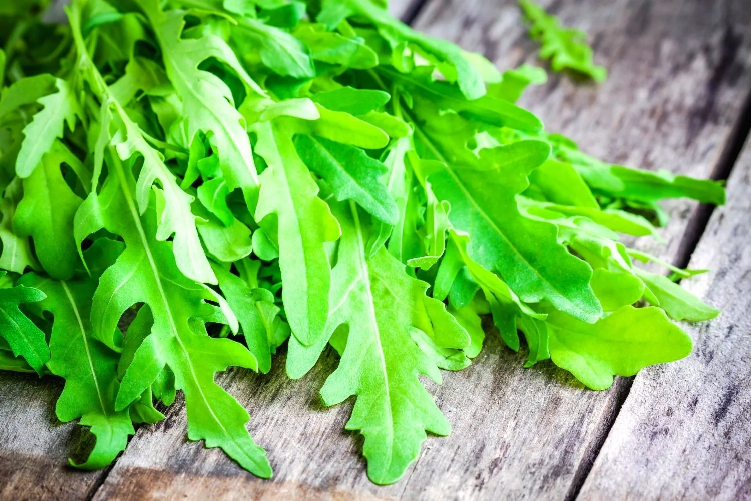 Rocket leaves on a wooden table