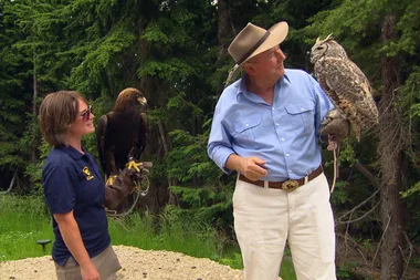 Dr Harry visits wild Canada
