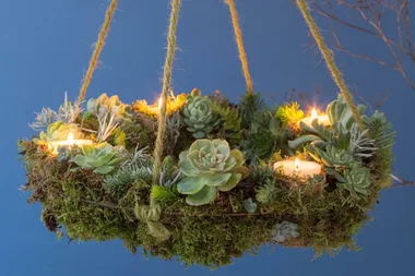 How to make a succulent hanging wreath