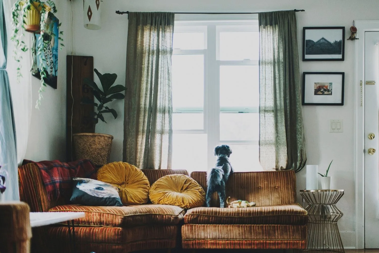 living room with warm colours