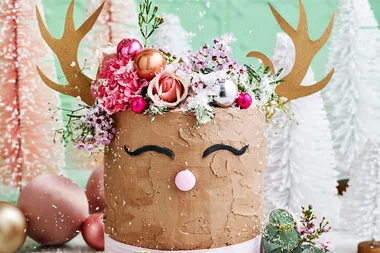 Reindeer cake