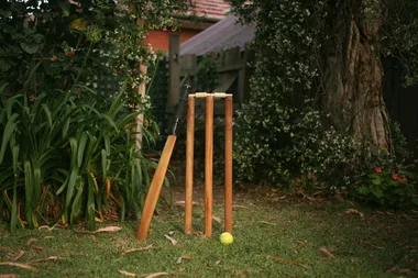 backyard-cricket