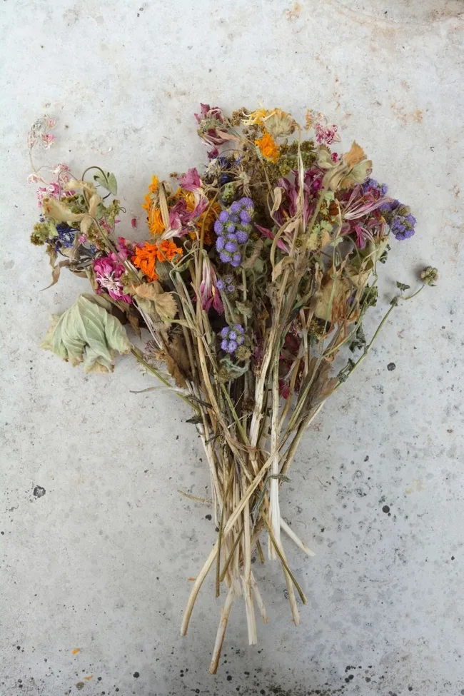 dry flowers