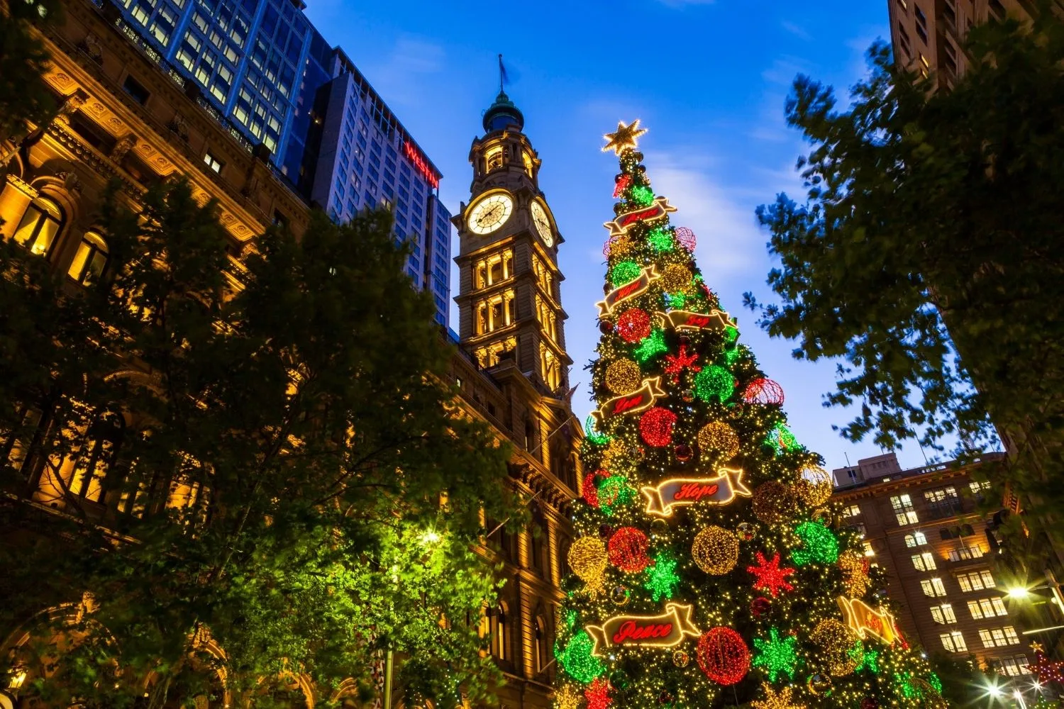 chrsitmas tree in city