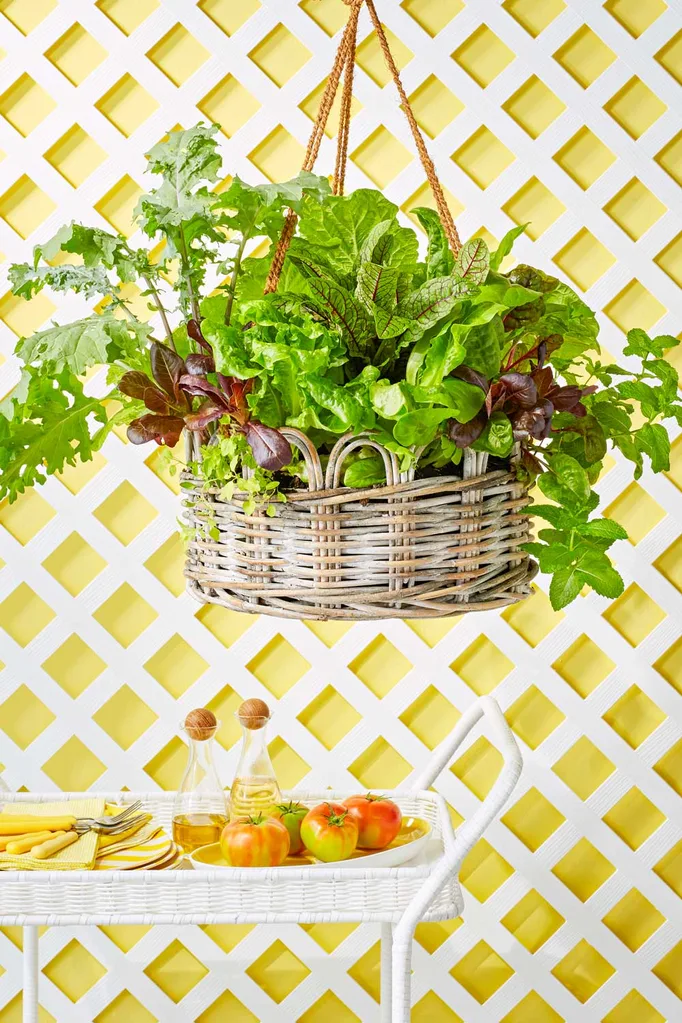 Edible hanging basket