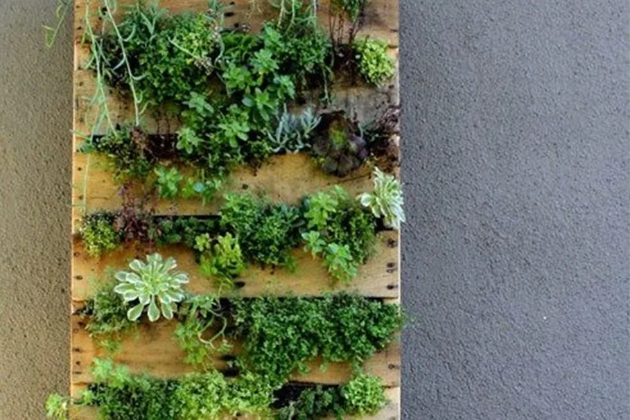 wall pallet