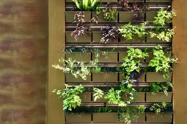 How to build a pallet wall planter