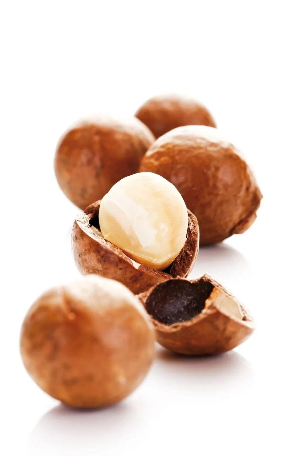 macadamias