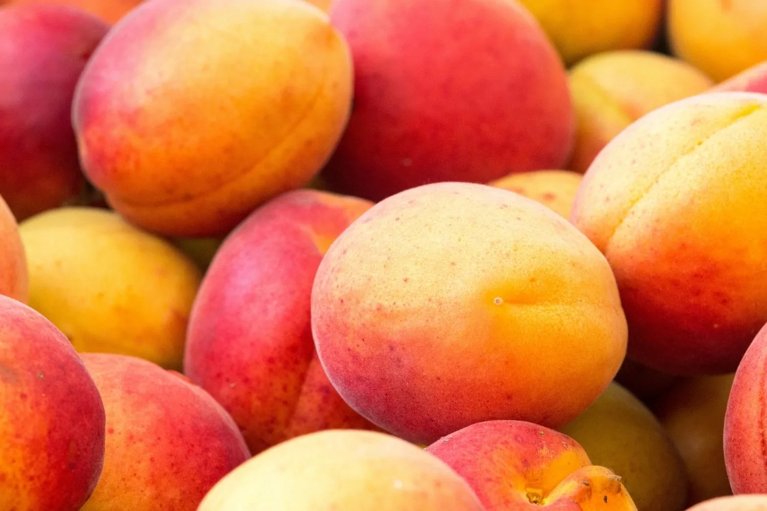 mango pile