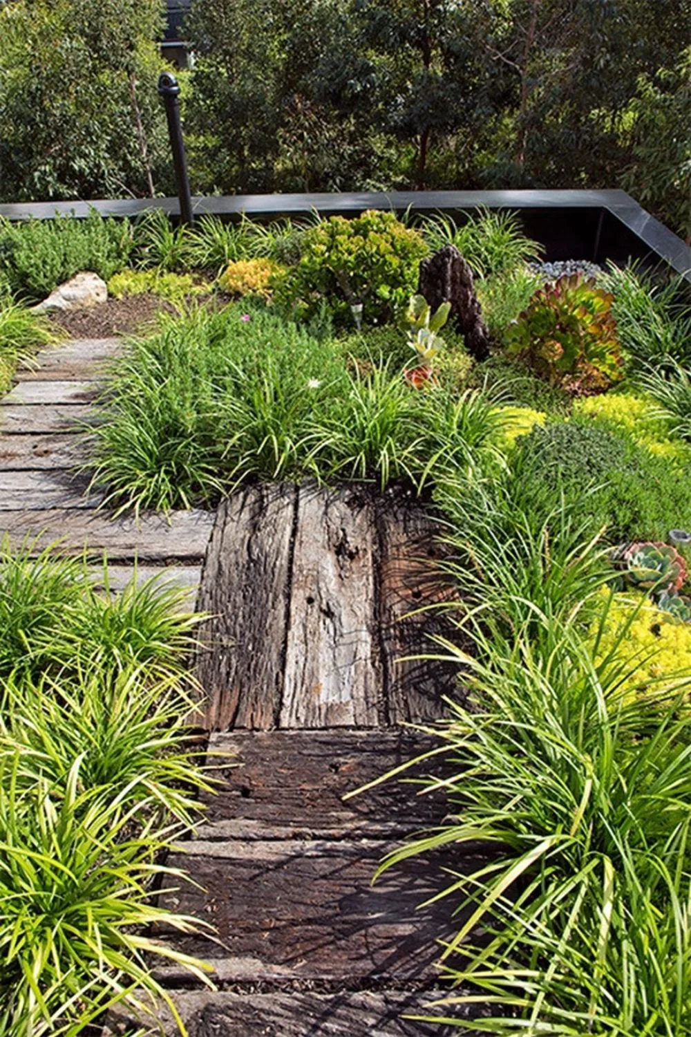 wood pathway with greenery