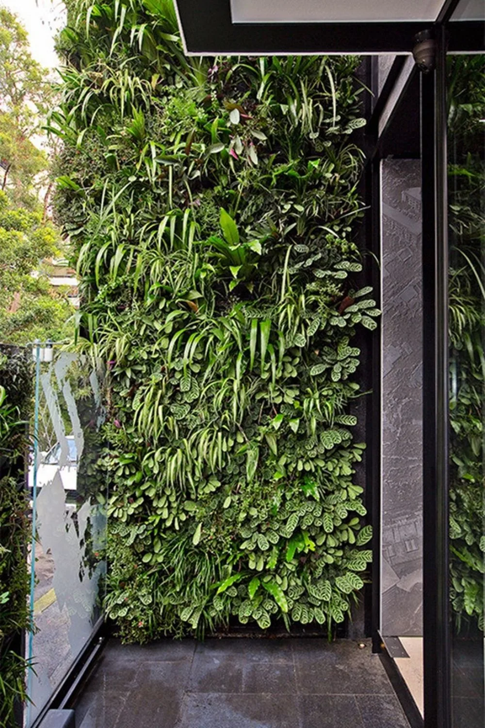 garden wall