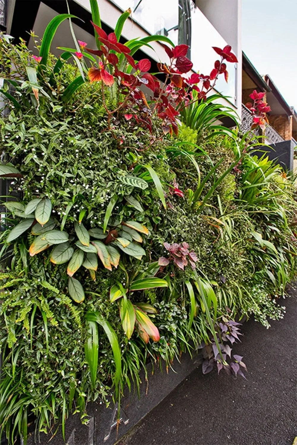 garden wall