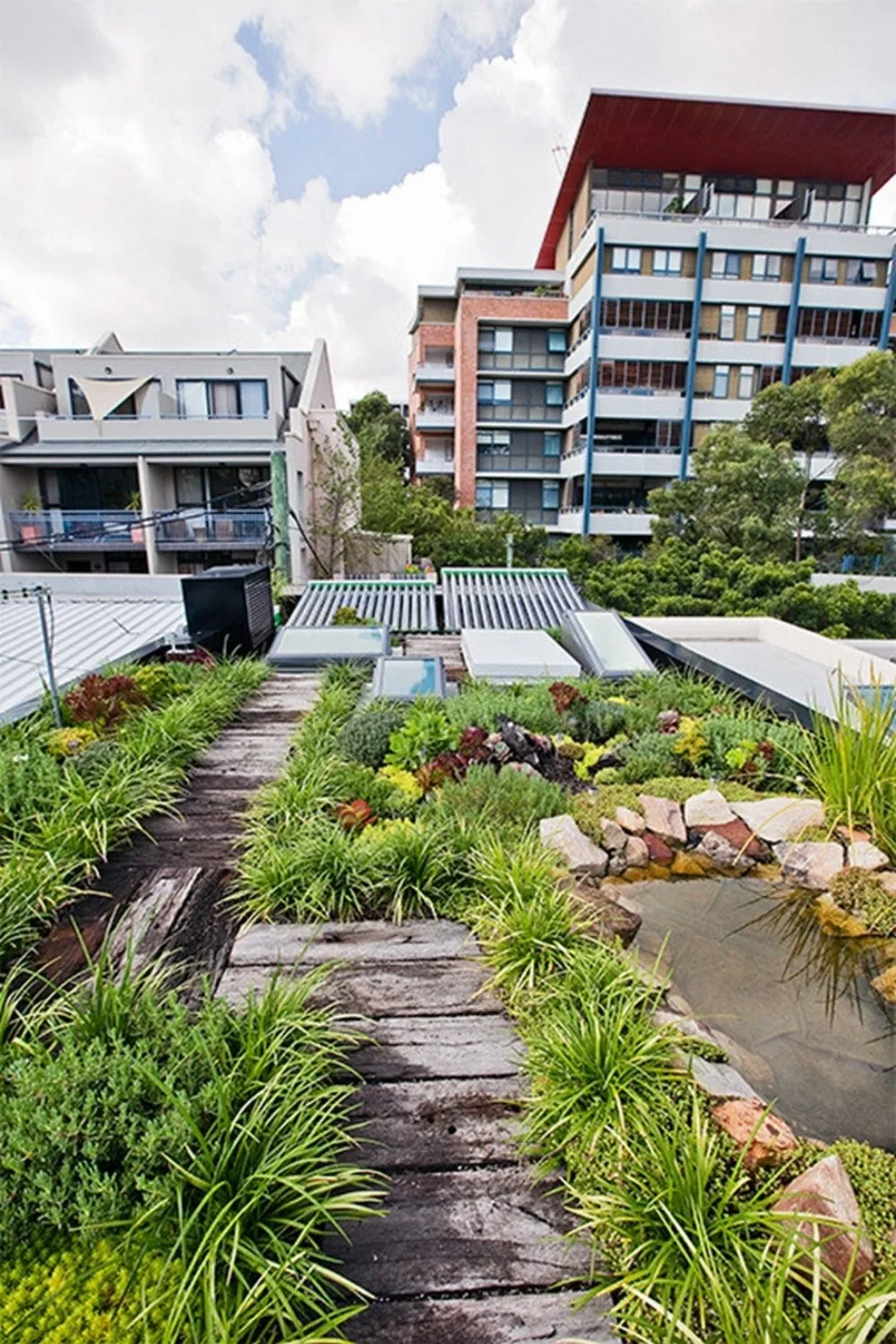 garden roof