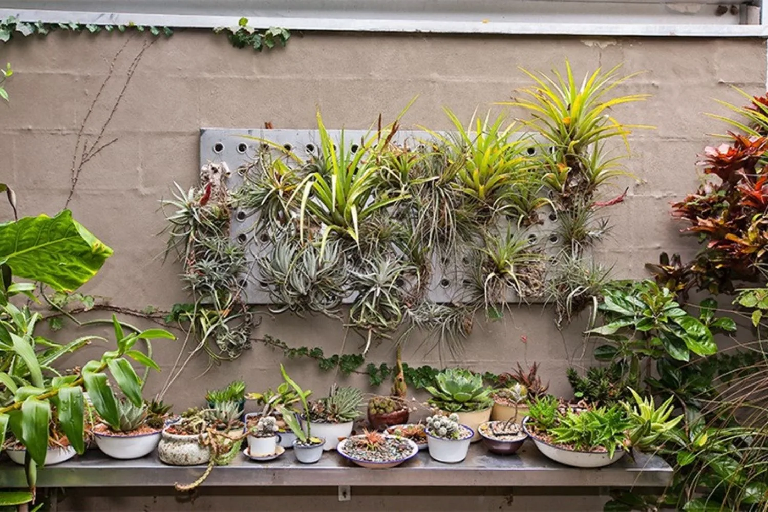 wall planter