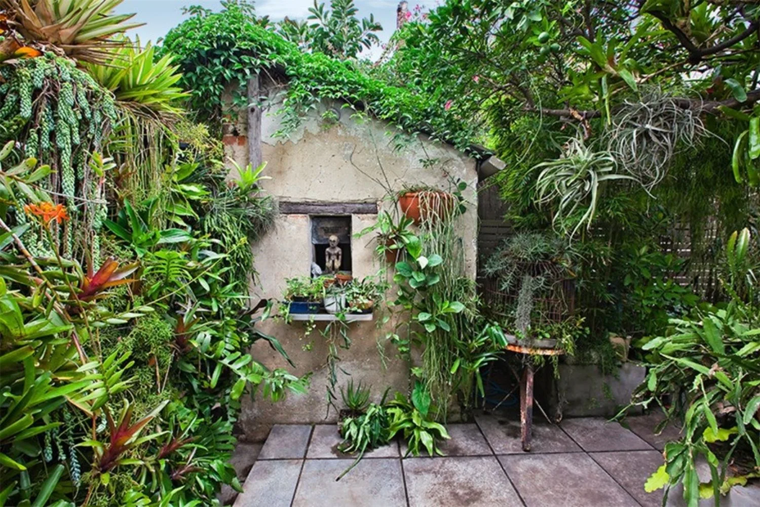 small shed with lots of greenery