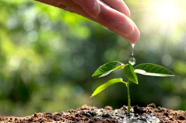 10 ways to green your home