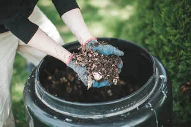 Five great reasons to be composting