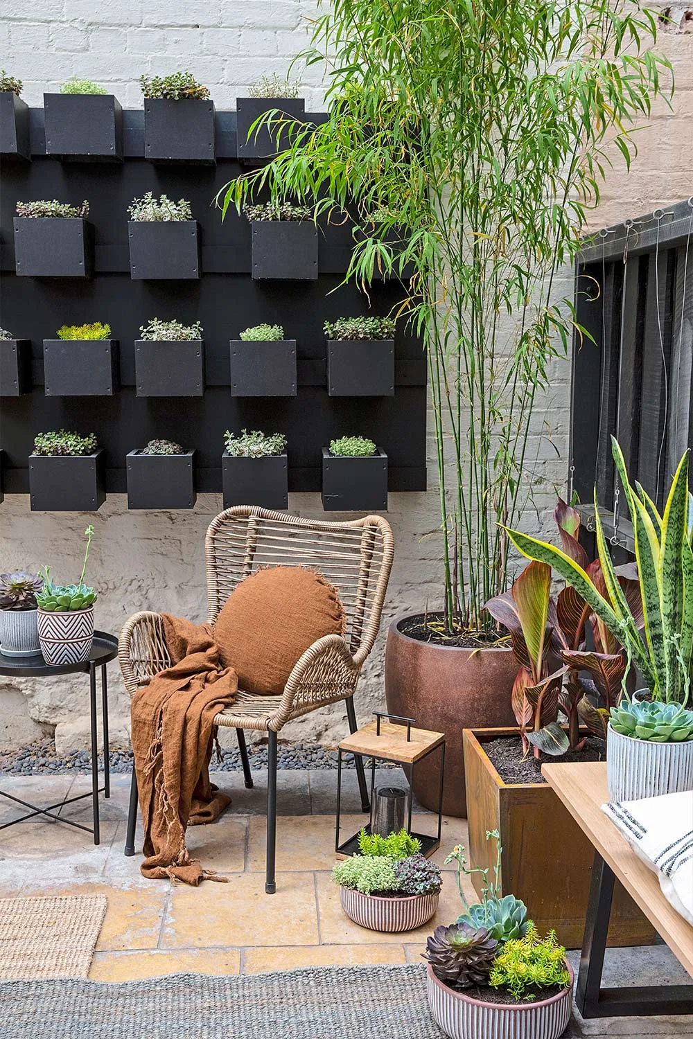Courtyard makeover with green wall
