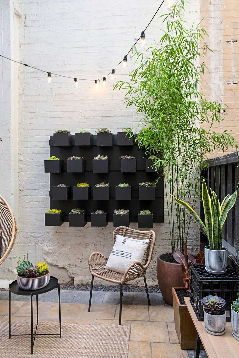 Green wall in courtyard
