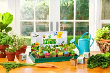 Woolworths’ new Discovery Garden collectables have arrived