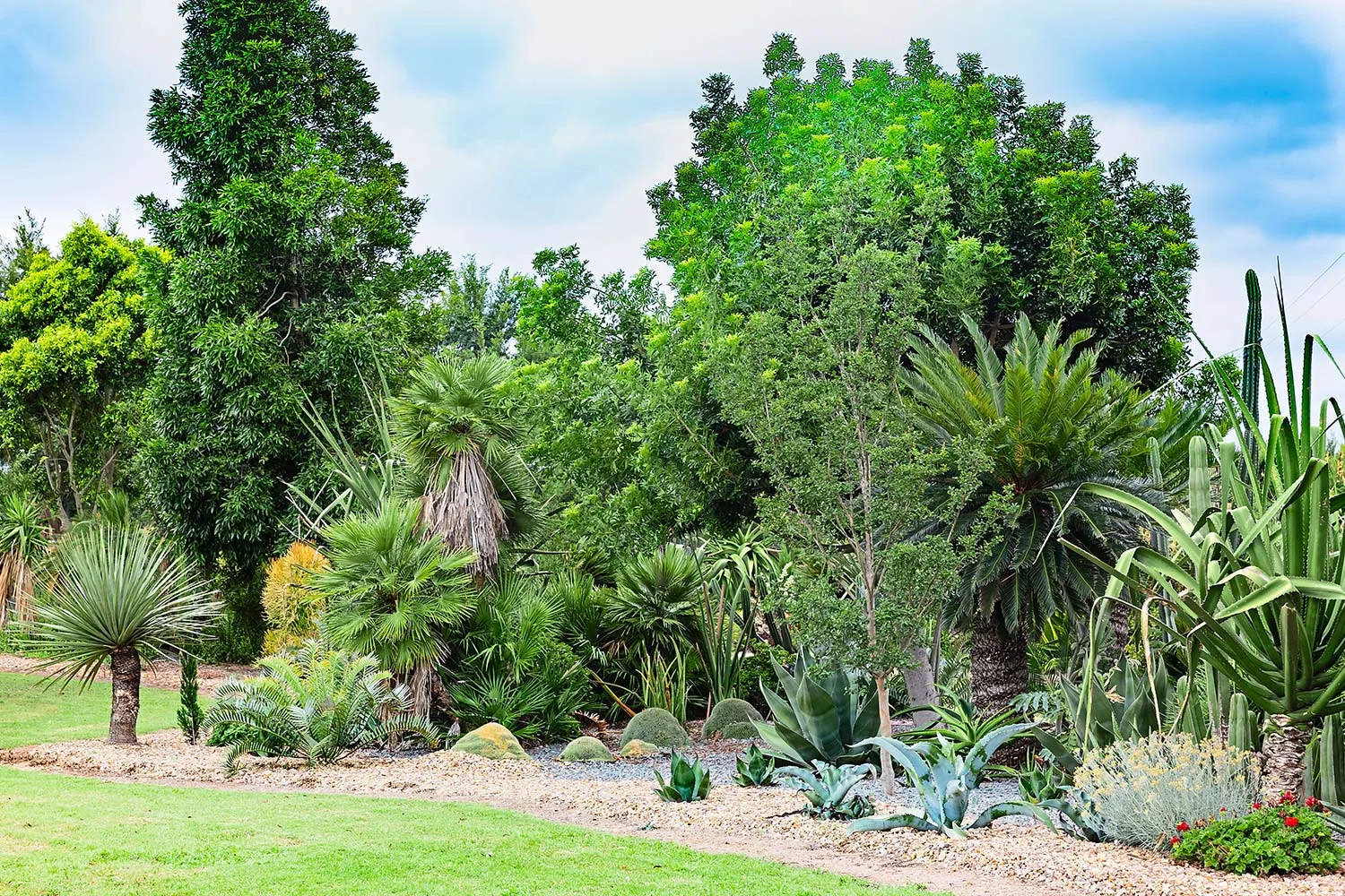 Dale Frank Botanic Garden