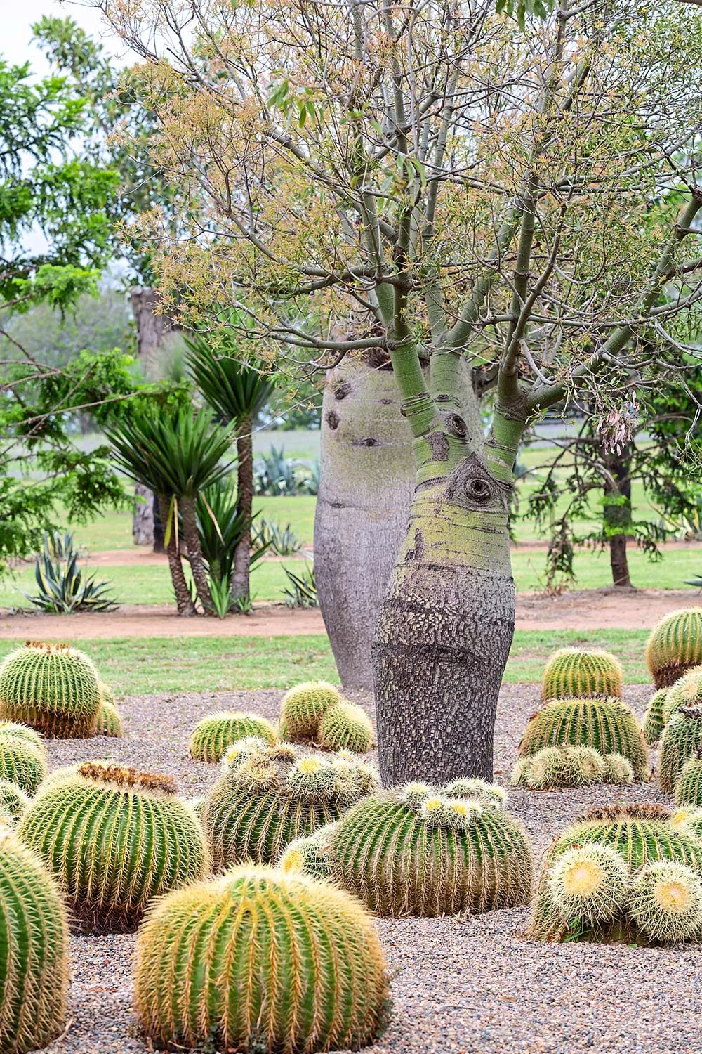 Dale Frank botanical gardens