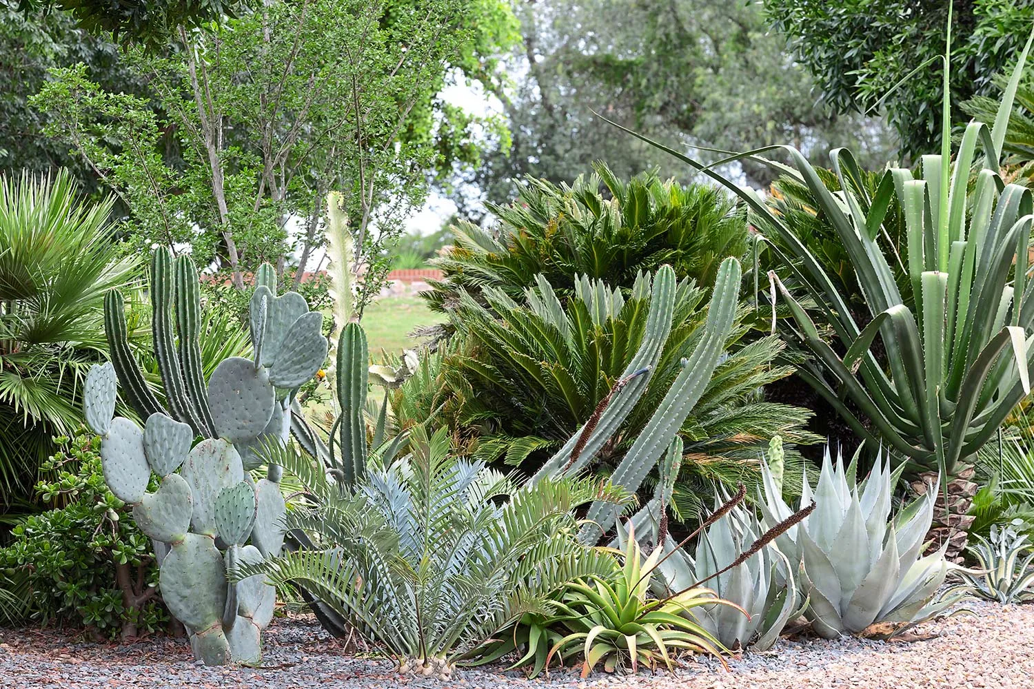 Dale Frank Botanical Gardens