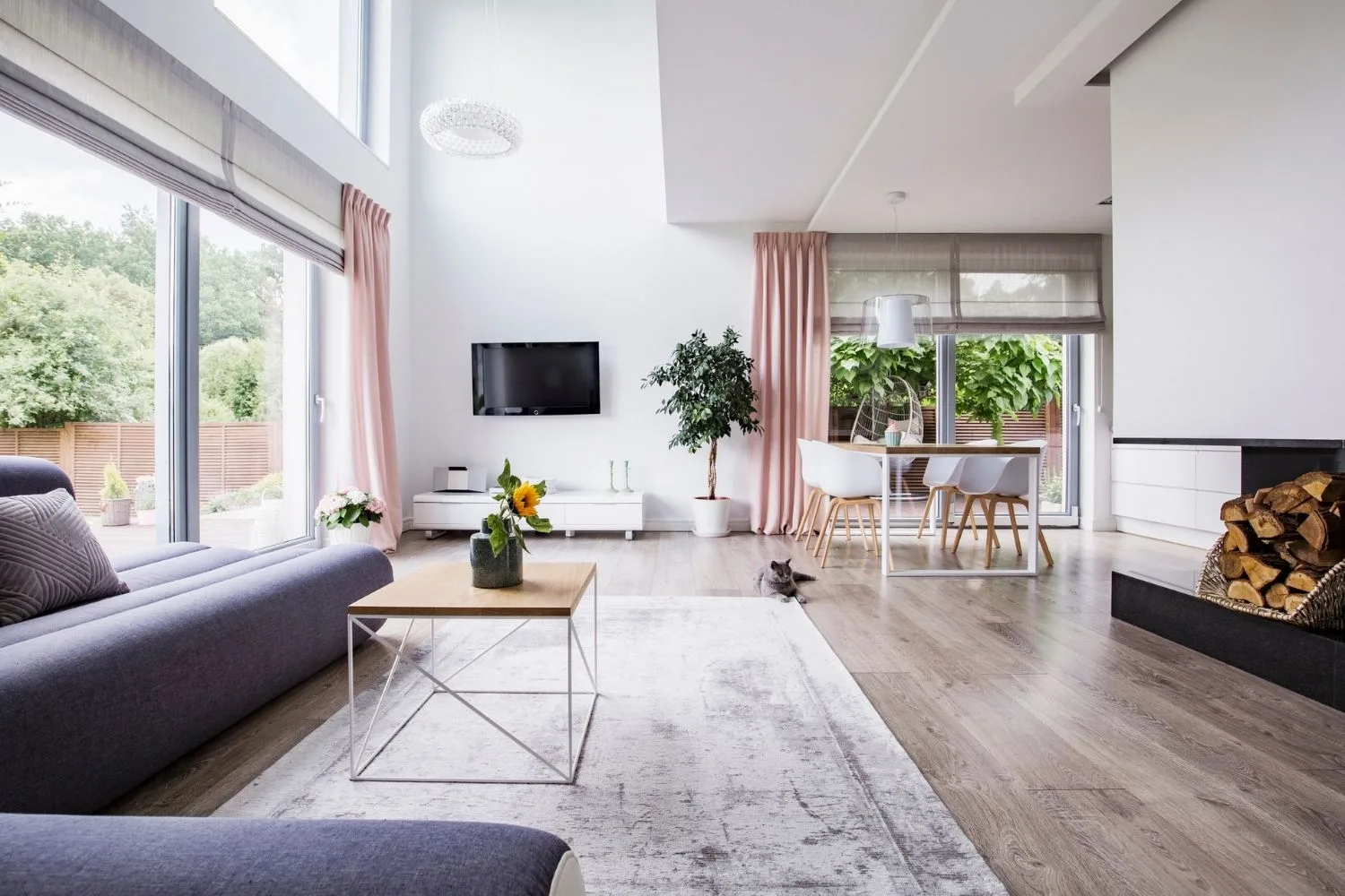 Open plan living room with indoor sunflower plant