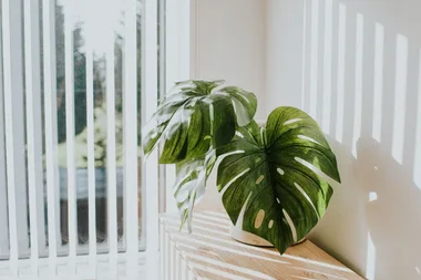 The secret to choosing blinds that actually suit each room