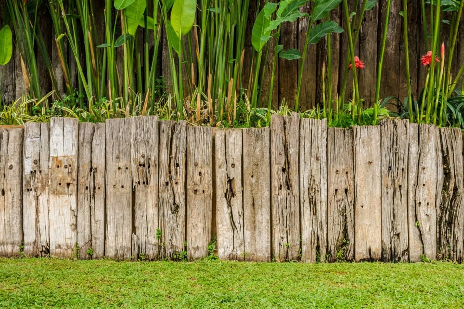 wood wall