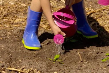 How to create a veggie patch for kids