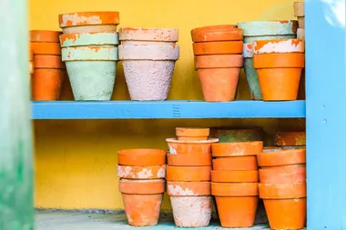 Get crafty with your garden pots