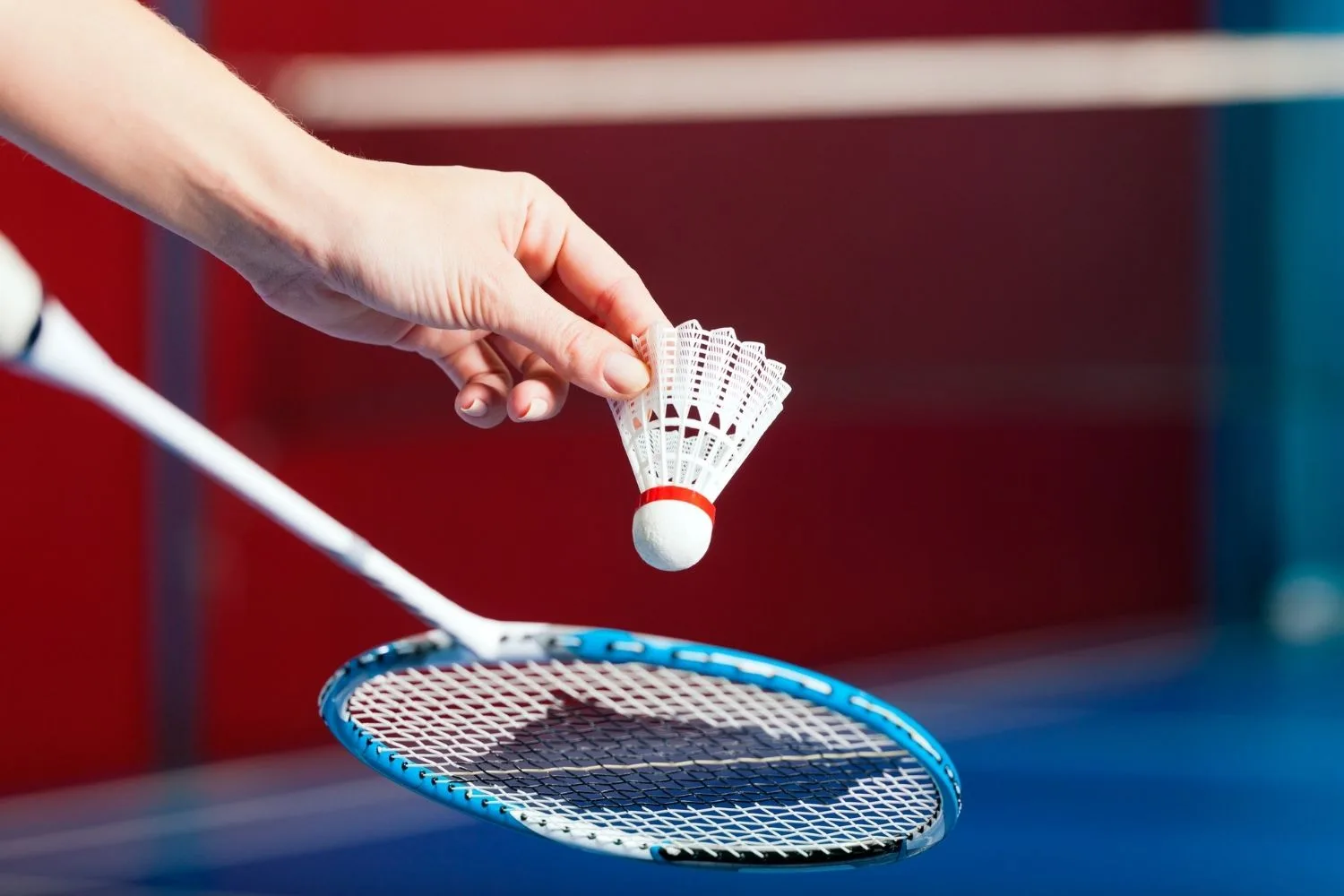 badminton raquet