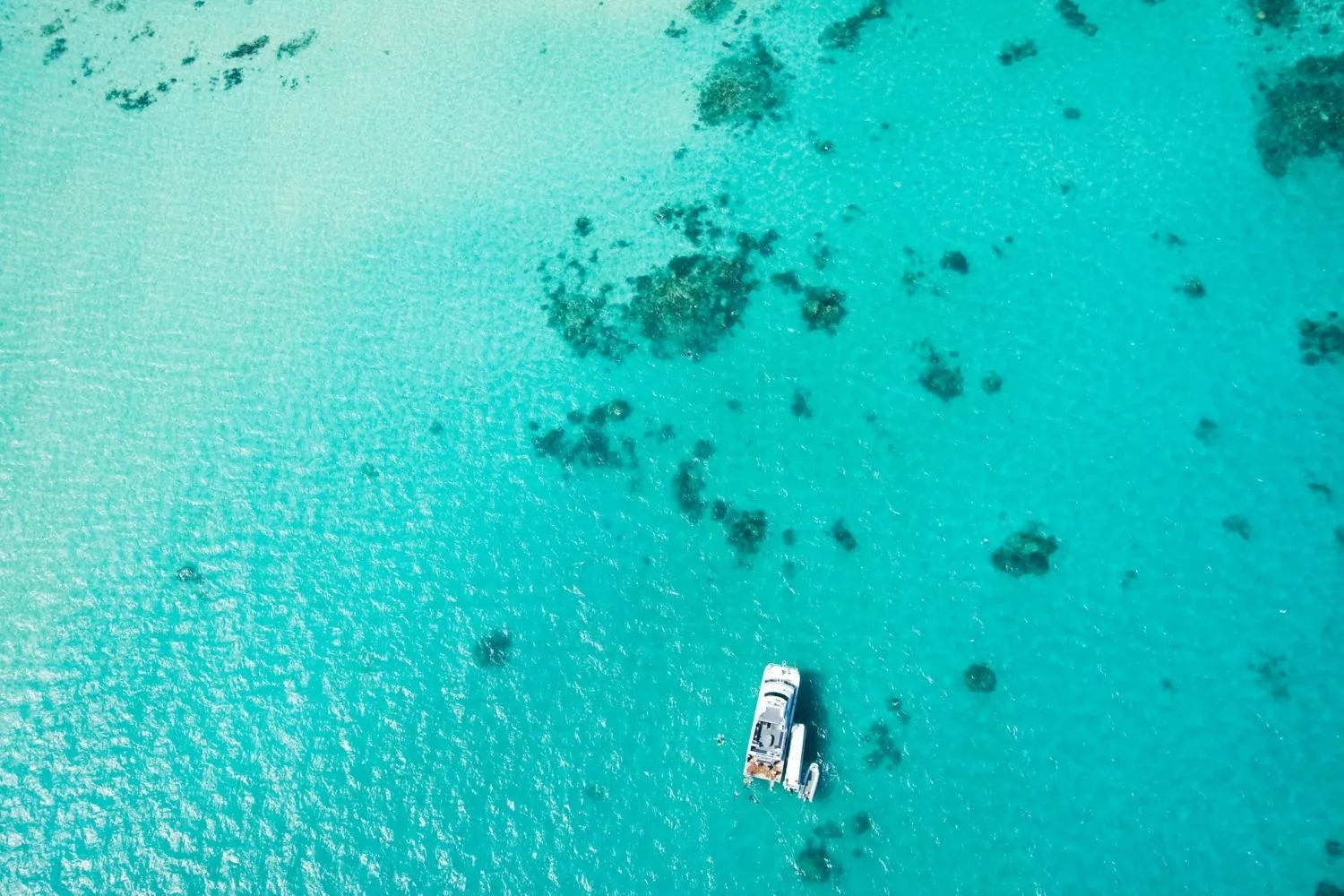 great barrier reef