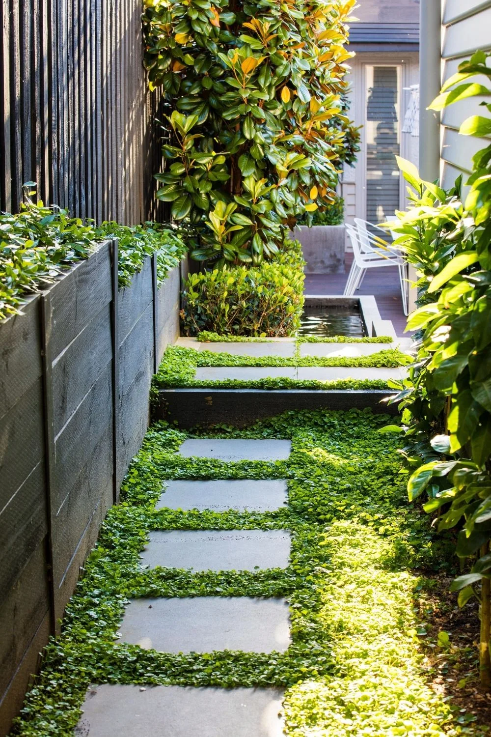 Side garden with groundcovers growing between concrete pavers