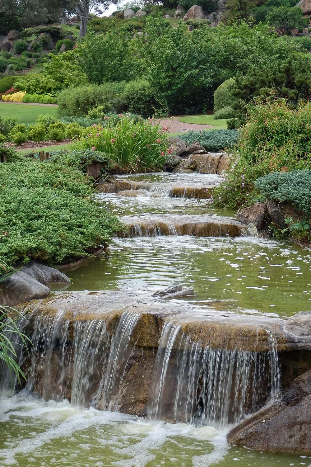 Cowra Japanese garden