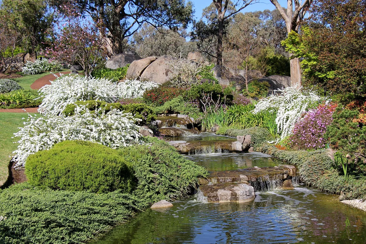 Cowra Japanese garden