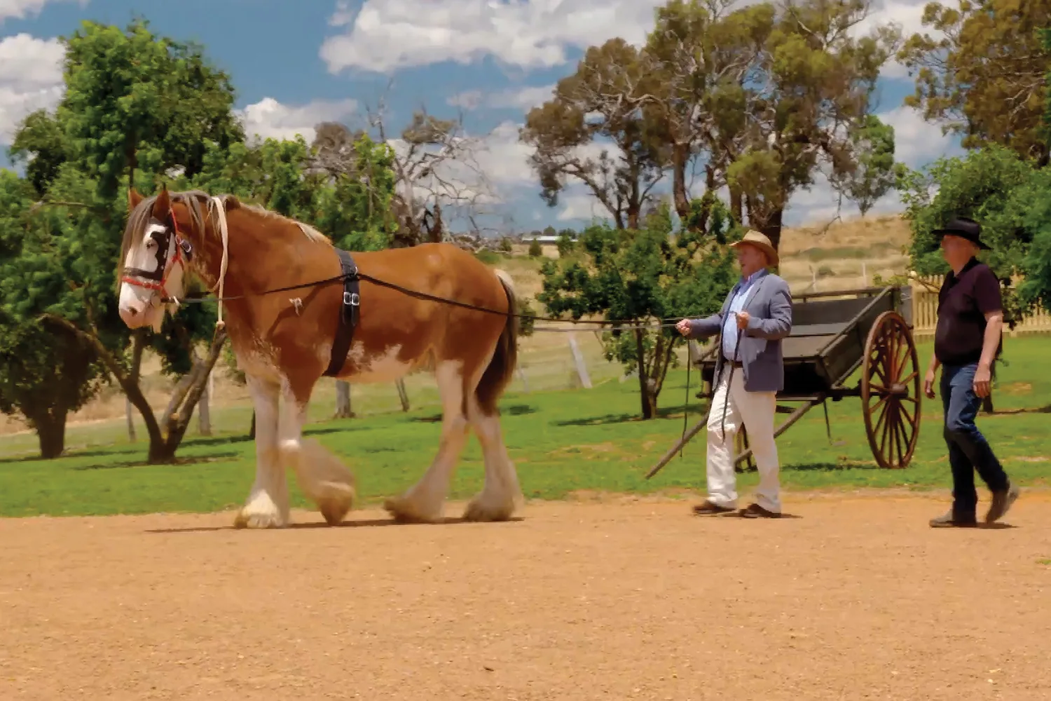 Dr Harry visits Cooma Cottage