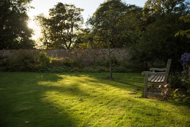 How to care for your lawn this autumn