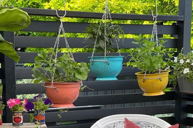 Melissa makes colourful colander hanging baskets