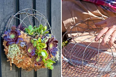 How to make a succulent planter from a fan
