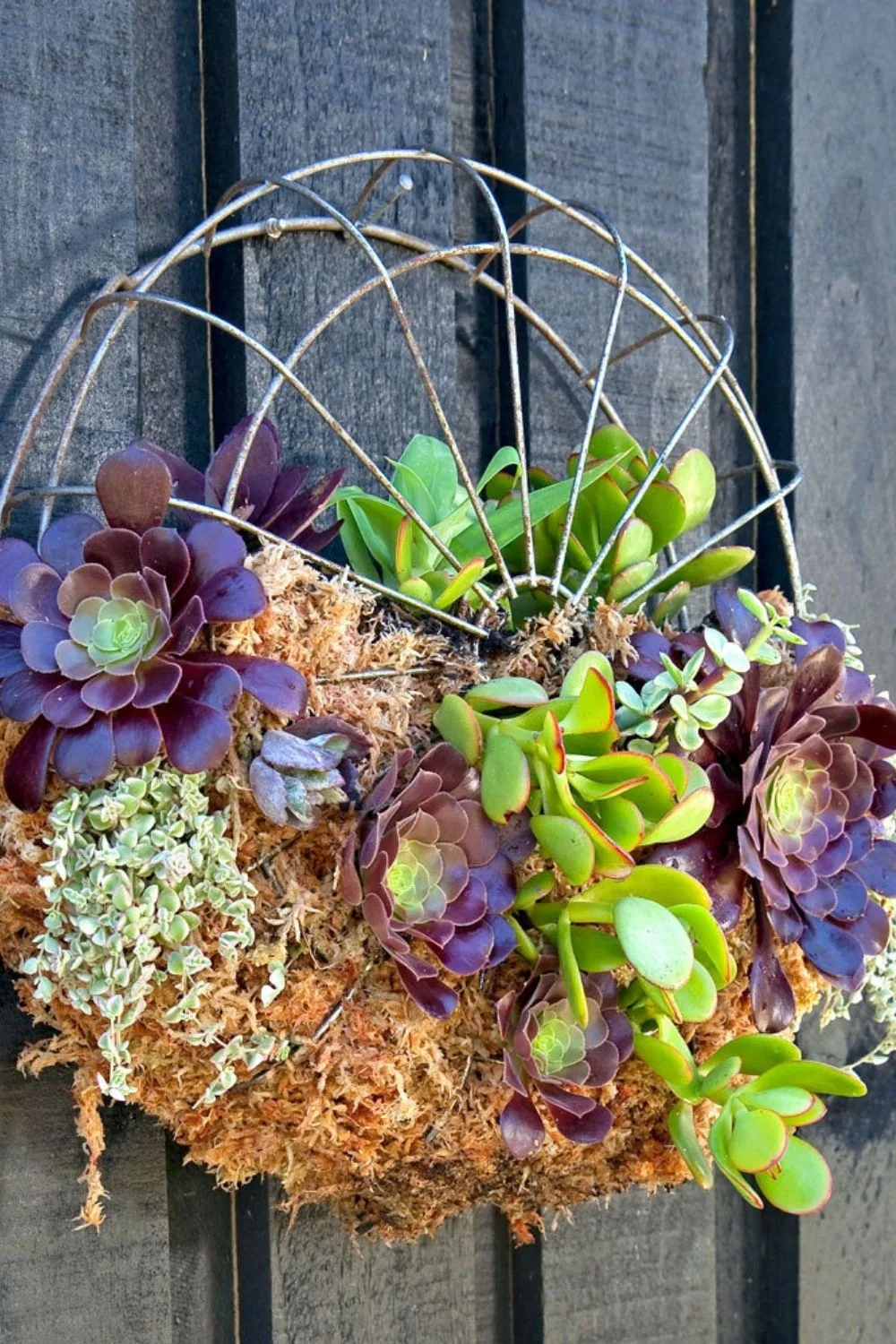 wall planter