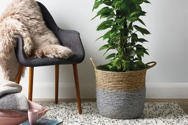 How to paint an indoor plant basket