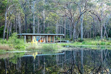 Philip Cox's garden Thubbul