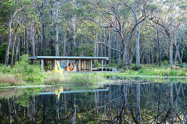 Philip Cox's garden Thubbul