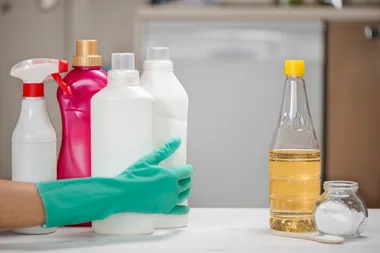 Does vinegar really kill germs?