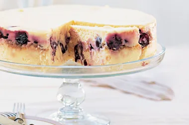 Cherry and white chocolate cheesecake